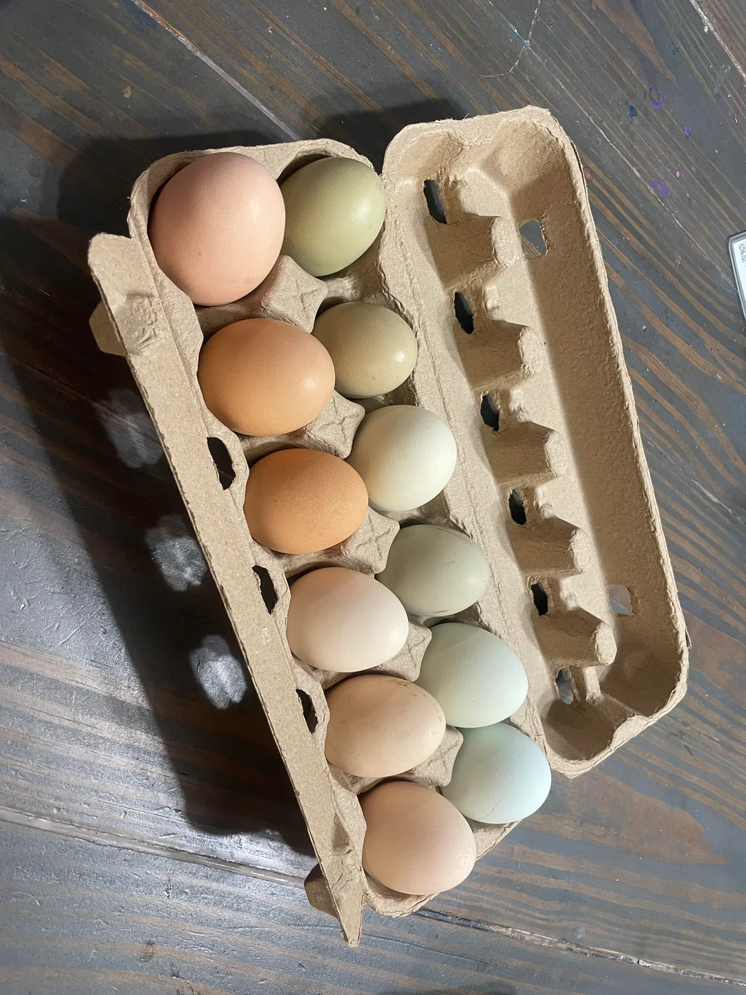 Fresh, free range eggs
