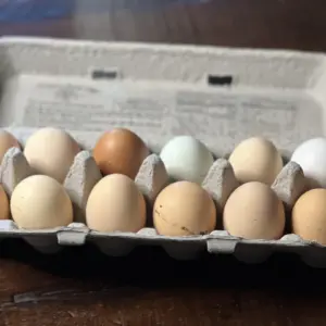 Pasture Raised Eggs