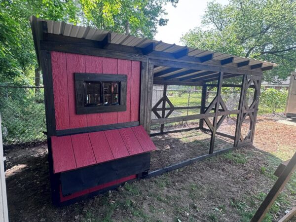 4x6 coop with a 6x12 run
