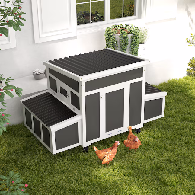 4x6 Chicken Coop with Nesting Boxes