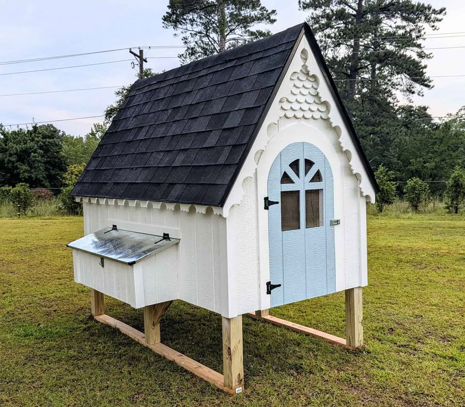 Chicken coop with run for sale